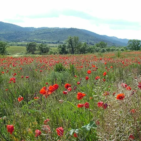 Domaine De Villedese Montlaur (Aude)