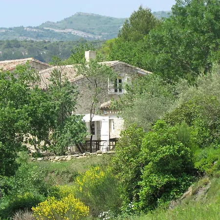 Domaine De Villedese * Montlaur (Aude)