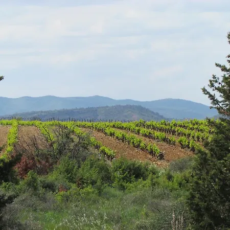 Domaine De Villedese 펜션